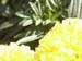 PICT0028